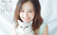 低调视频库看不了